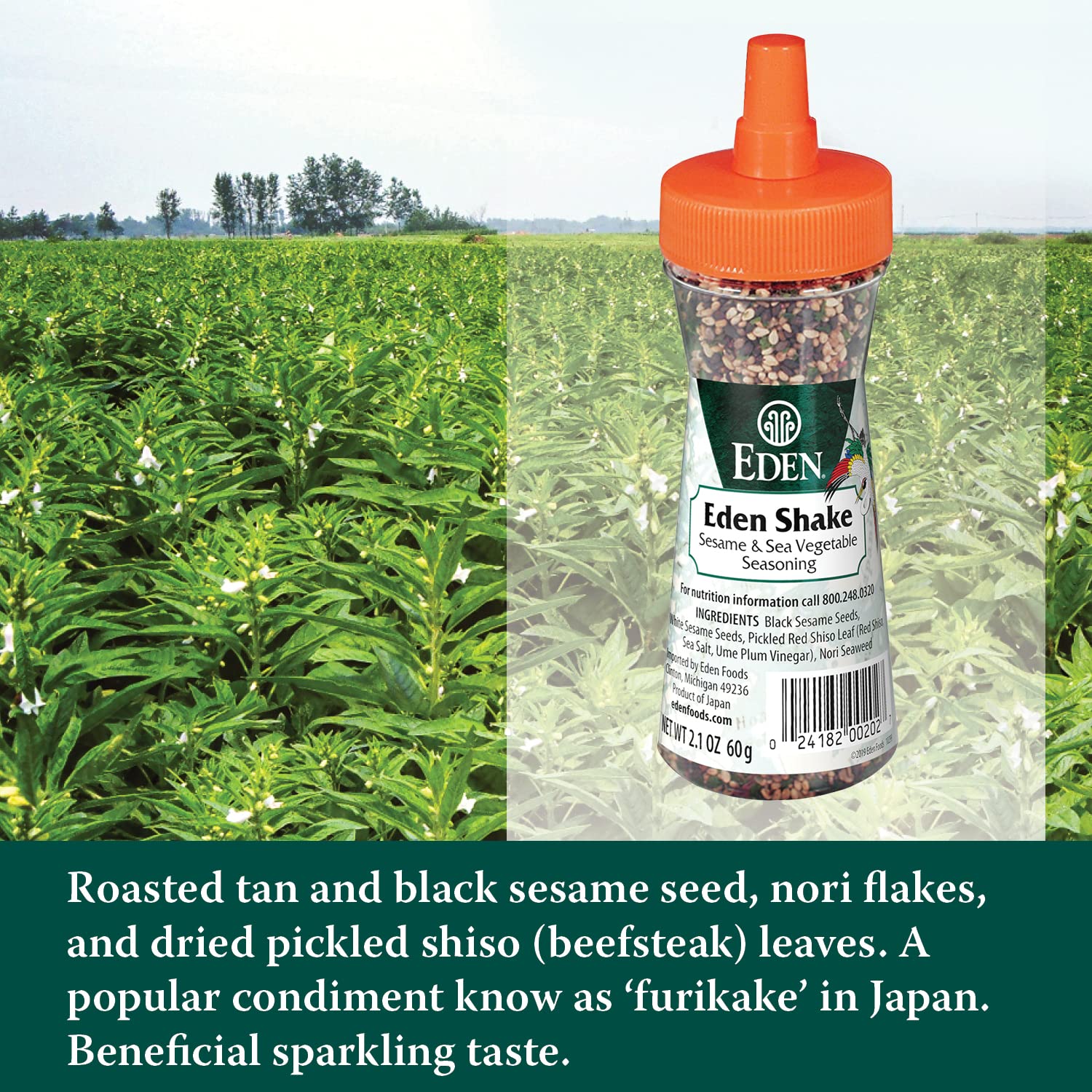 Shake Sesame and Sea Vegetable Seasoning
