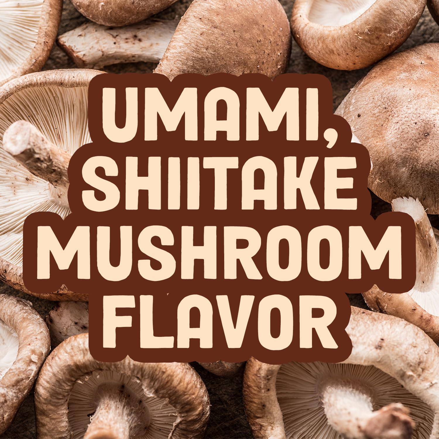 Mushroom Jerky