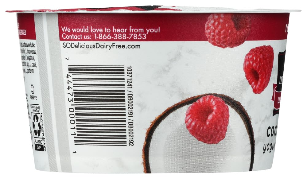 Coconut Milk Yogurt