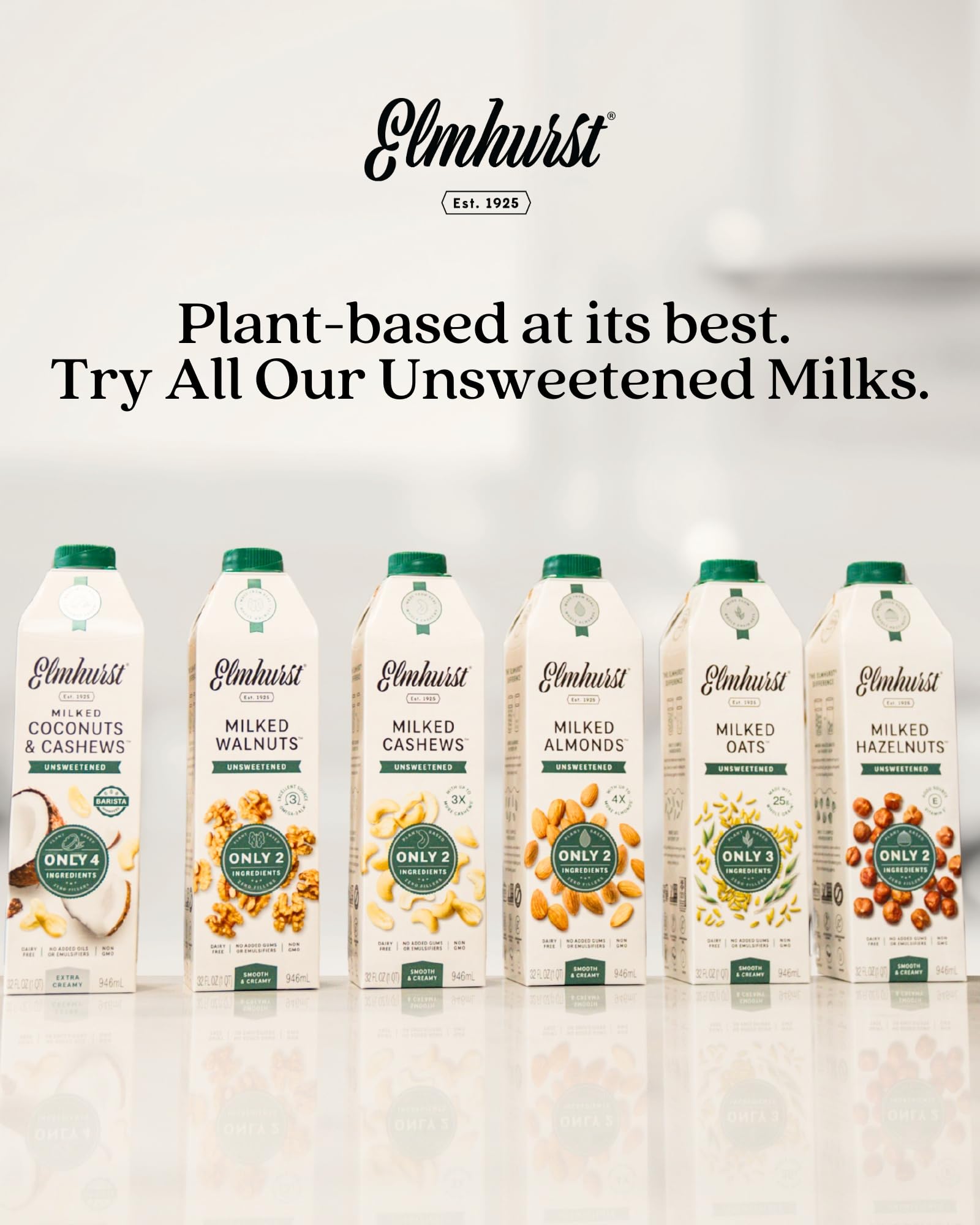 1925 Unsweetened Walnut Milk (6-Pack)