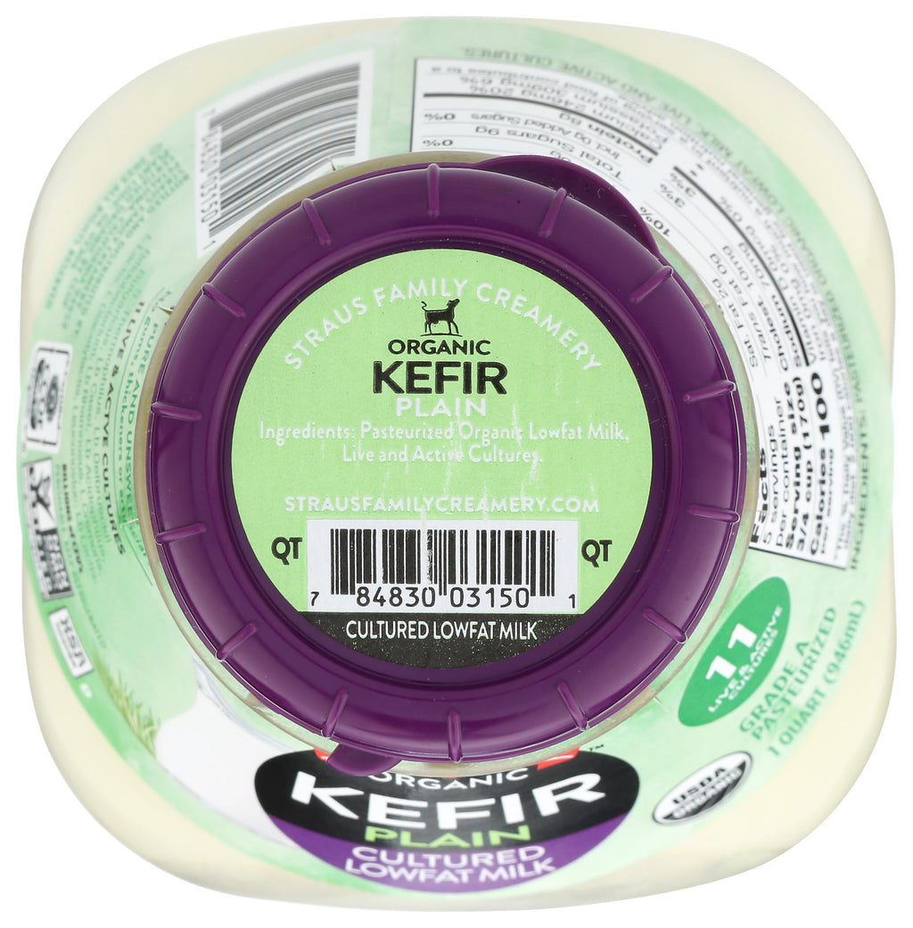 Kefir Plain