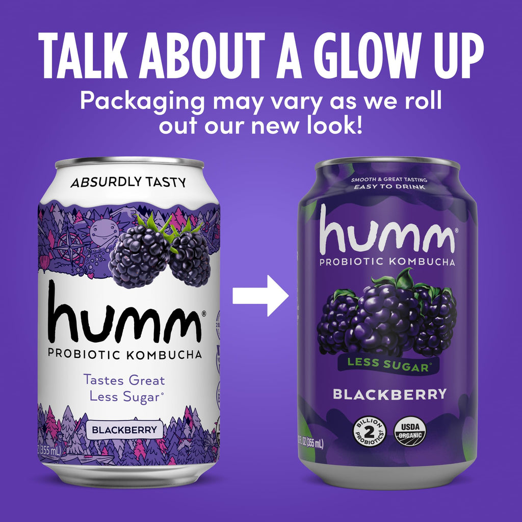 Original Kombucha