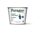 Blueberry Cashewgurt