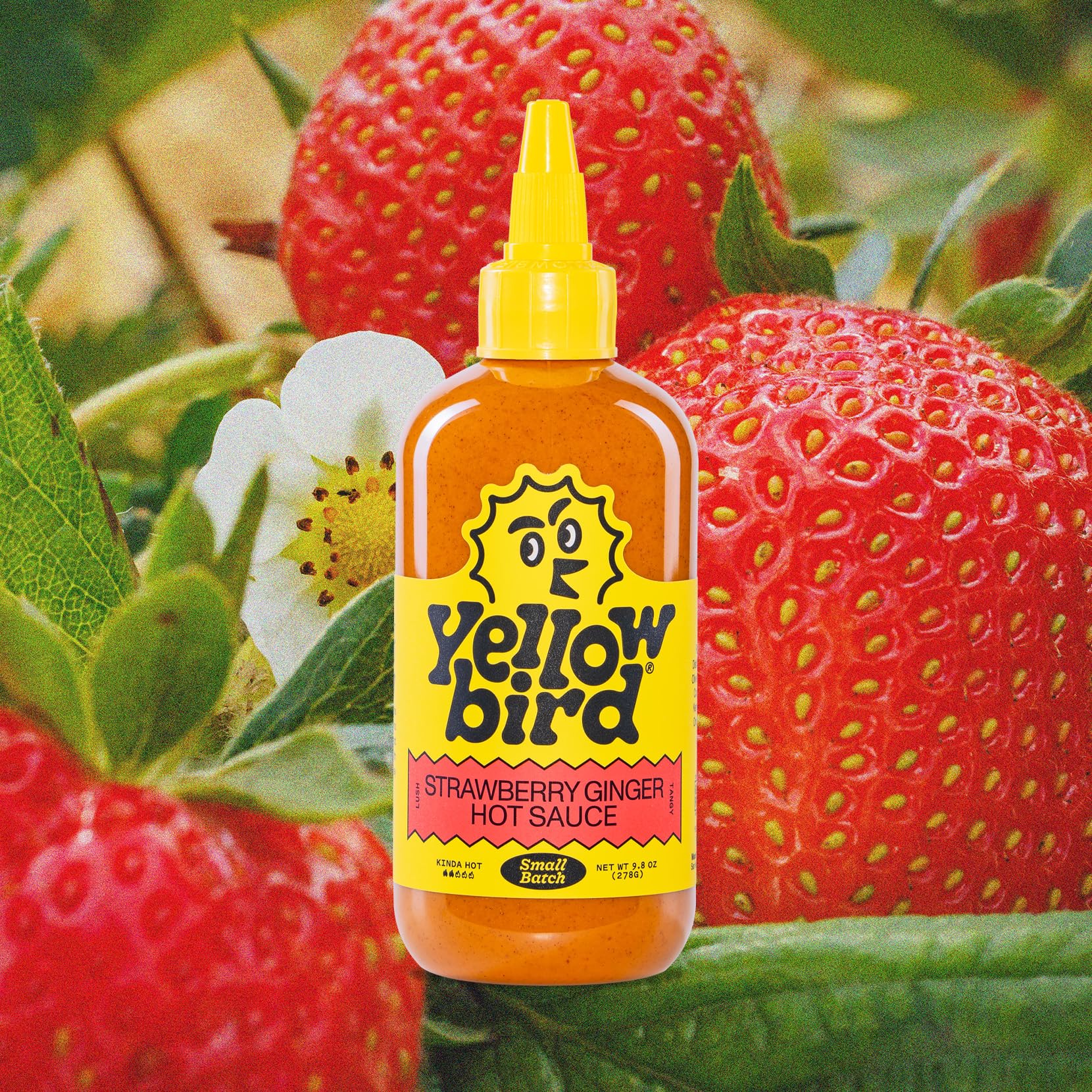Yellowbird Small Batch Hot Sauce Collection – Garlic Shiitake