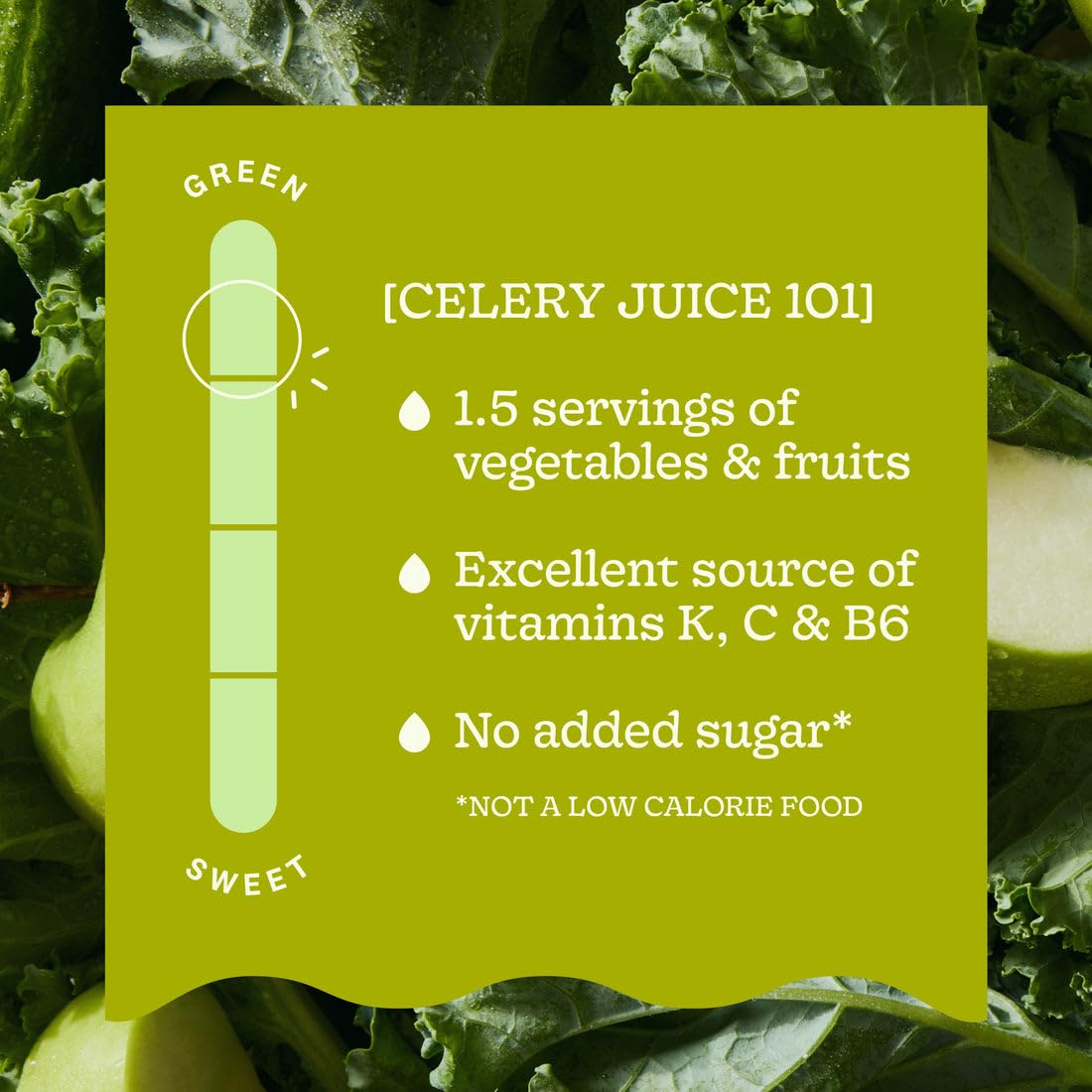Suja Cold-Pressed Celery Juice, 12 fl oz (Pack of 6)
