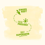 Vive Organic Immune Support Ginger & Turmeric Shot Variety Pack, 2 fl oz