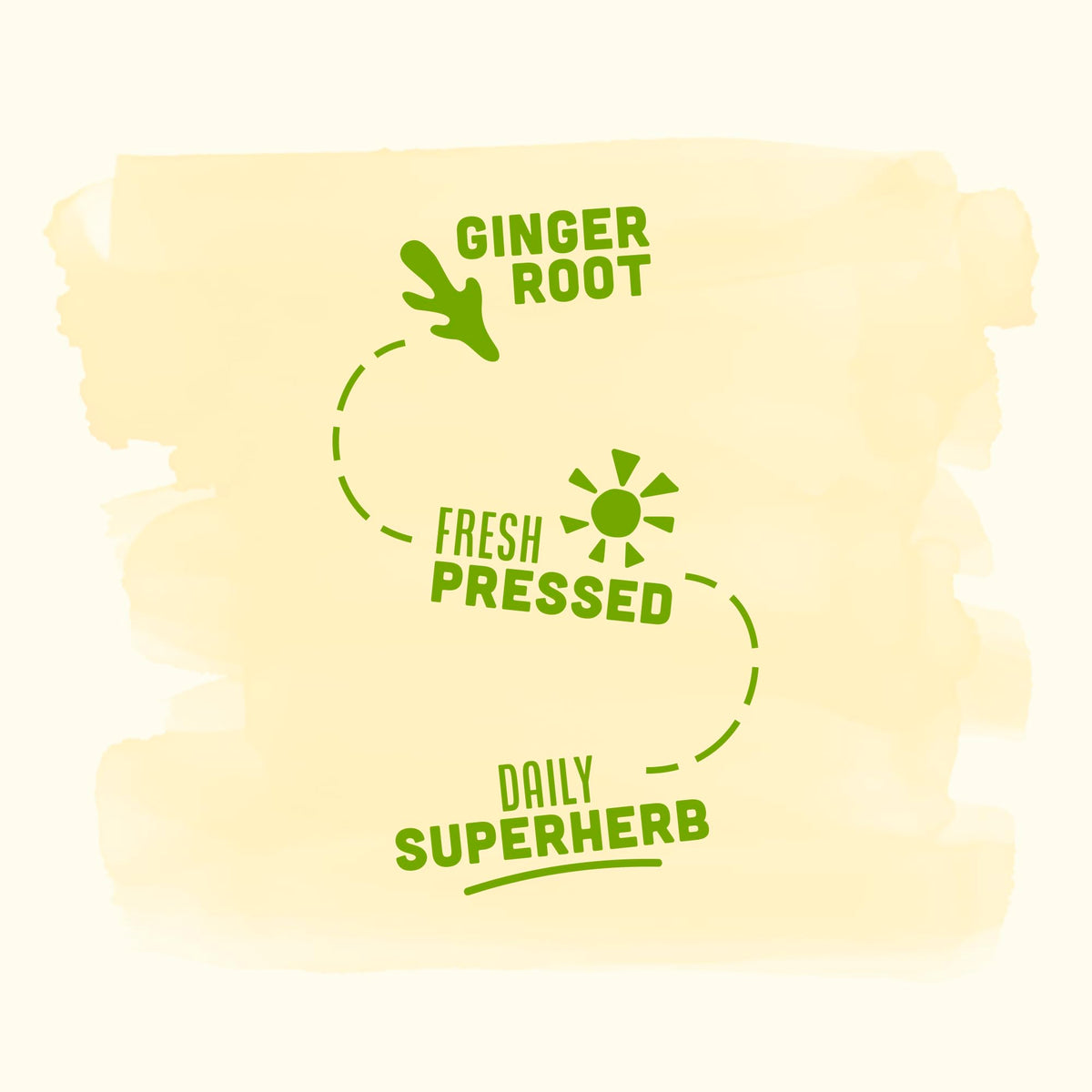 Vive Organic Immune Support Ginger & Turmeric Shot Variety Pack, 2 fl oz