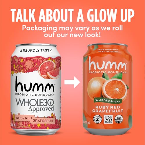Original Kombucha