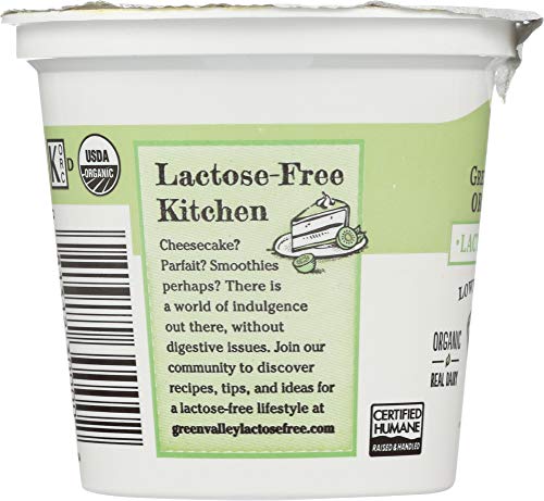 Yogurt Laose Free Plain