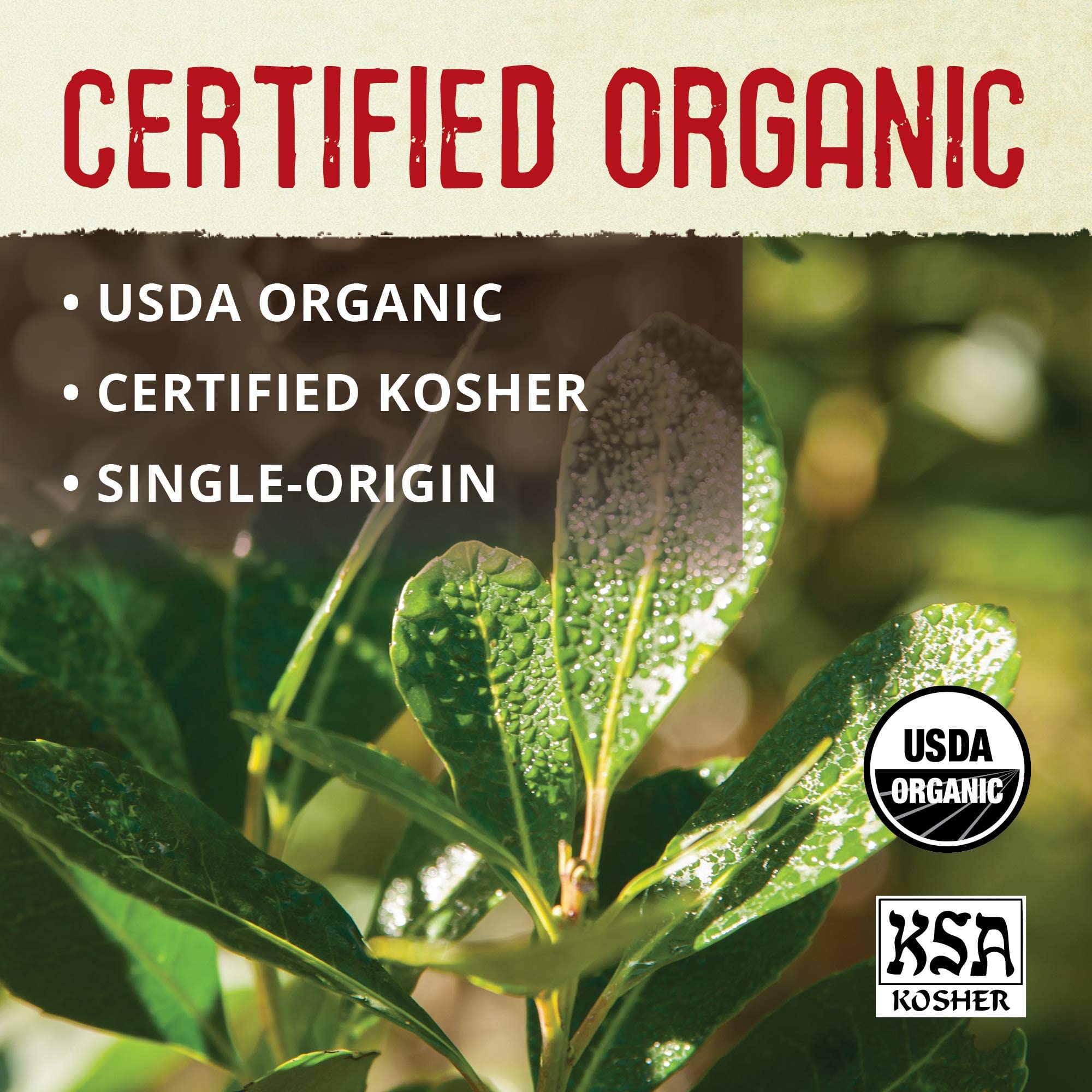 Organic Unsmoked Yerba Mate Tea Bags