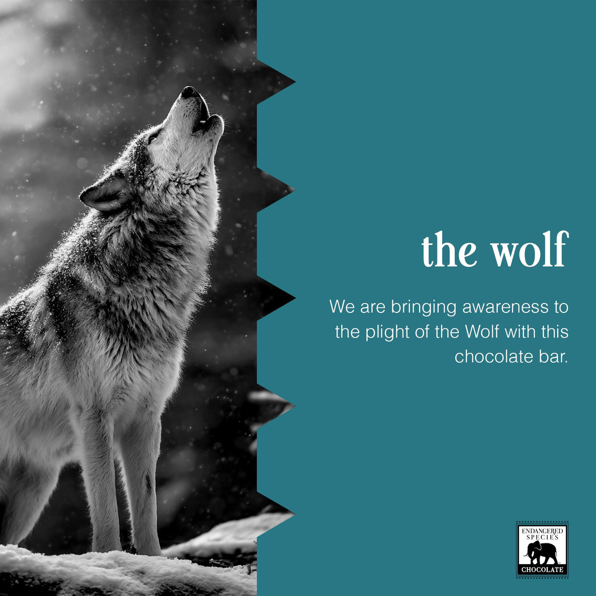 Endangered Species Dark Chocolate Bar with Sea Salt & Almonds, 72% Cocoa