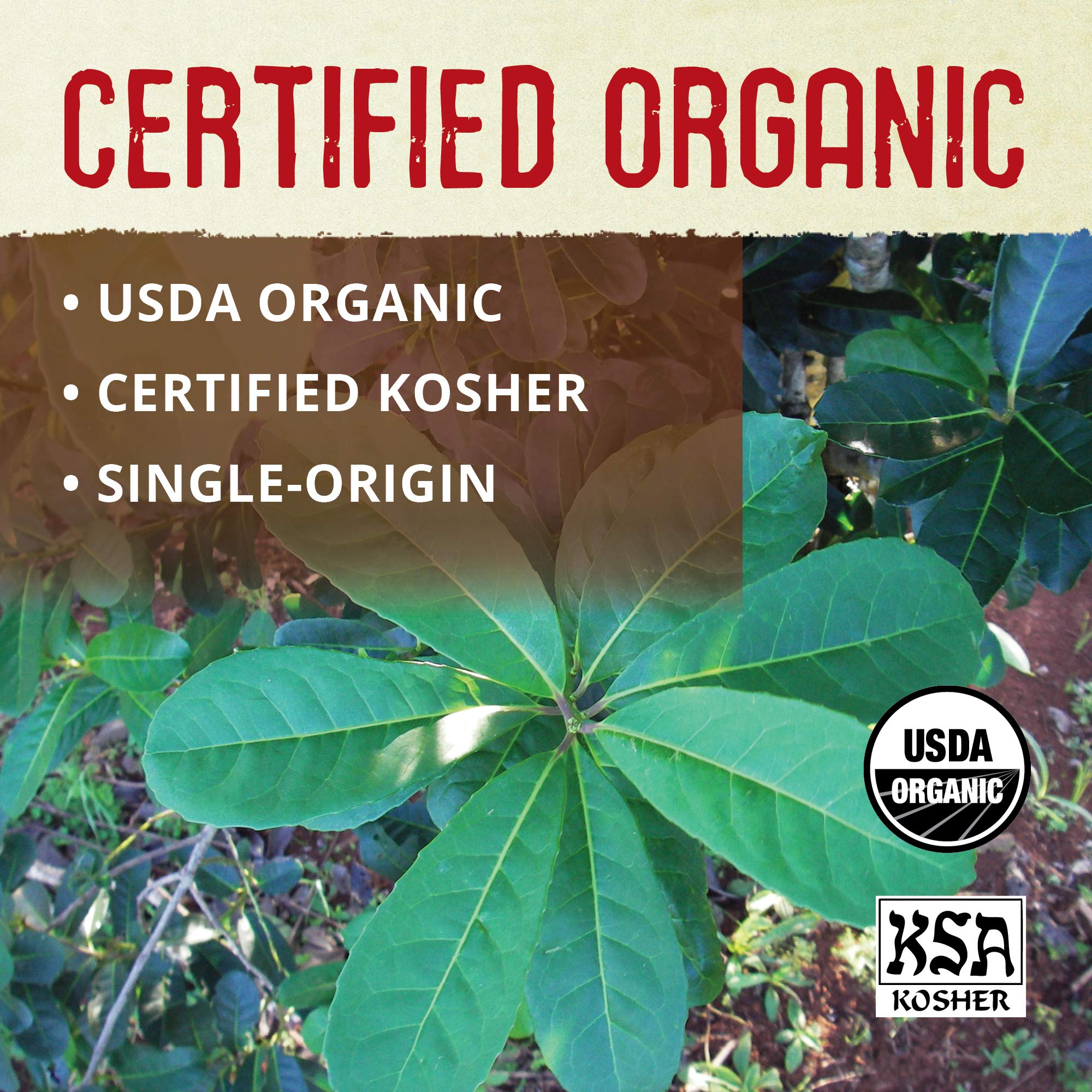Organic Unsmoked Yerba Mate Tea Pure Loose Leaf