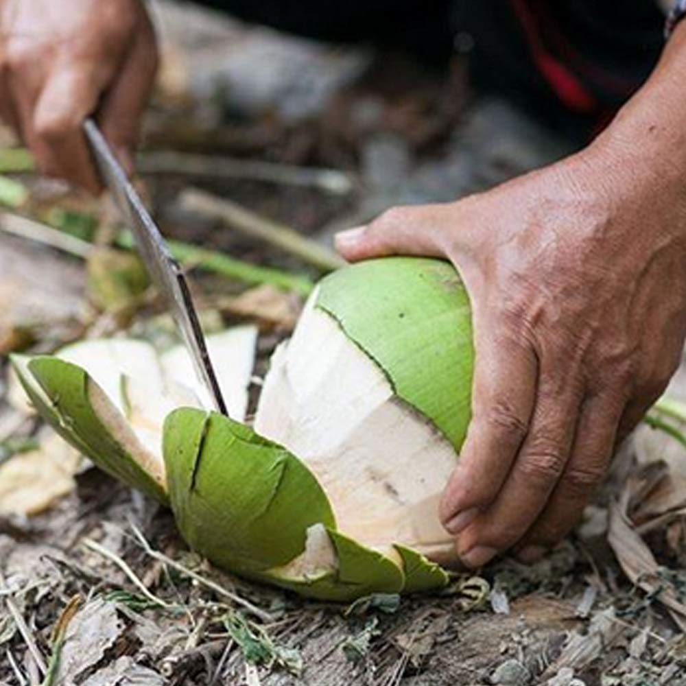 Real Coconut Water '