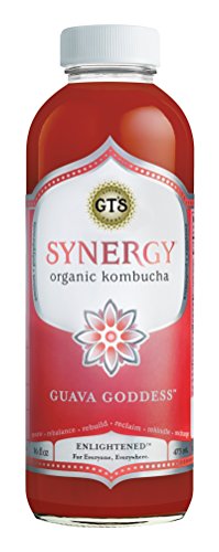 Synergy Kombucha Tea