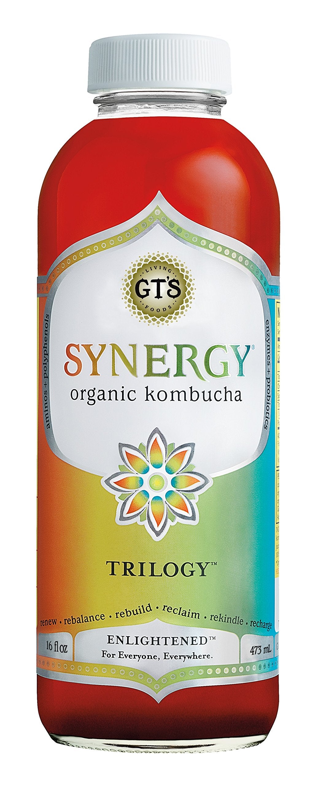 GT's Enlightened Synergy Organic Kombucha Tea