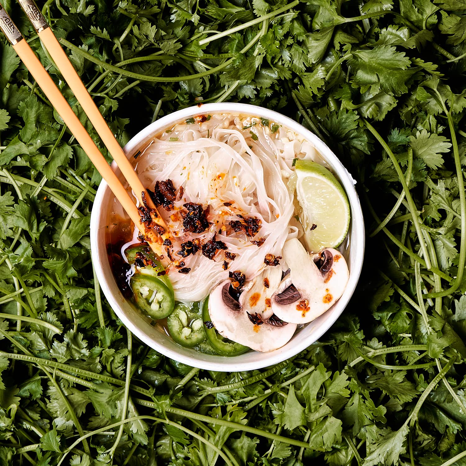 Pho Instant Noodle Soup Bowls