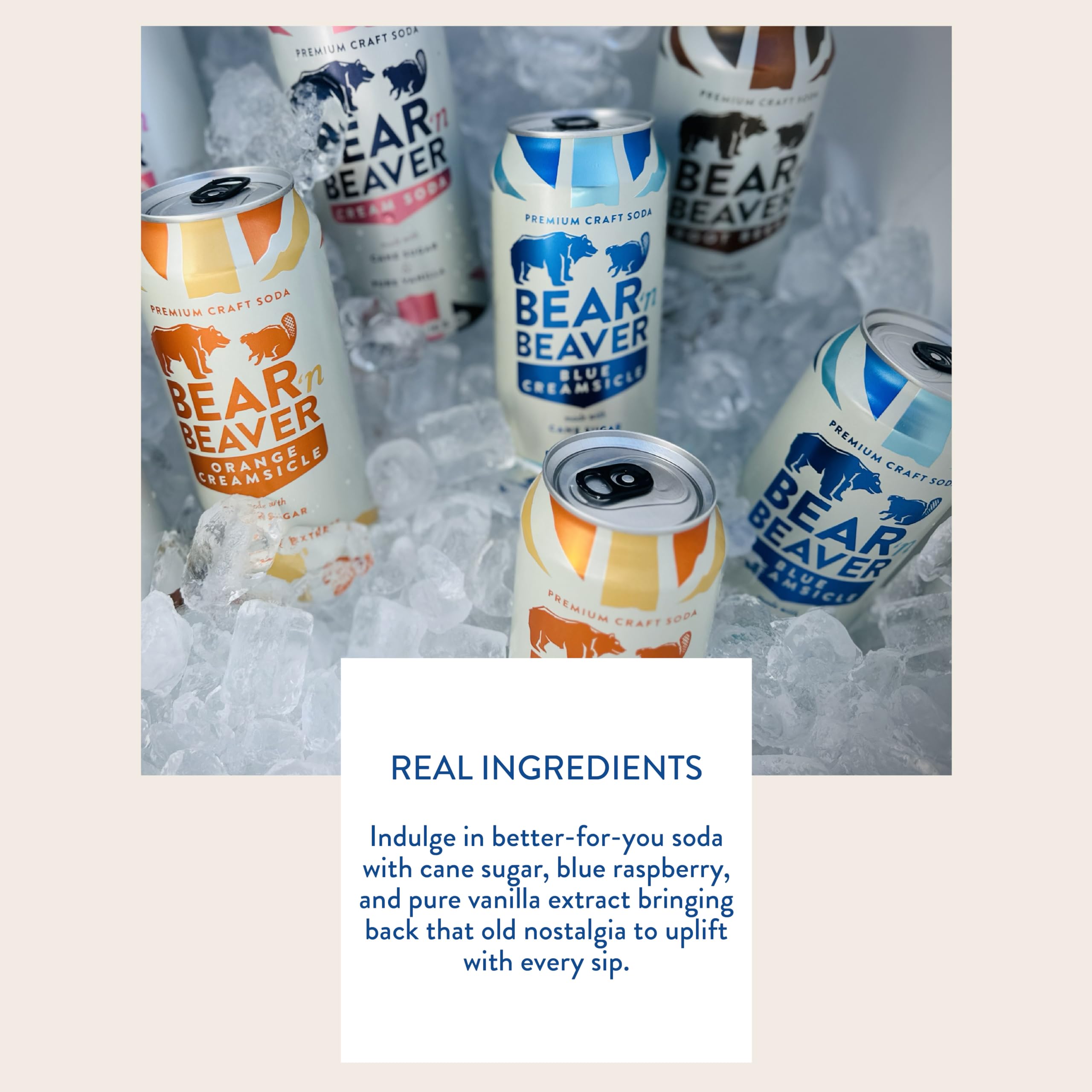 Assorted Flavors Cans Craft Soda