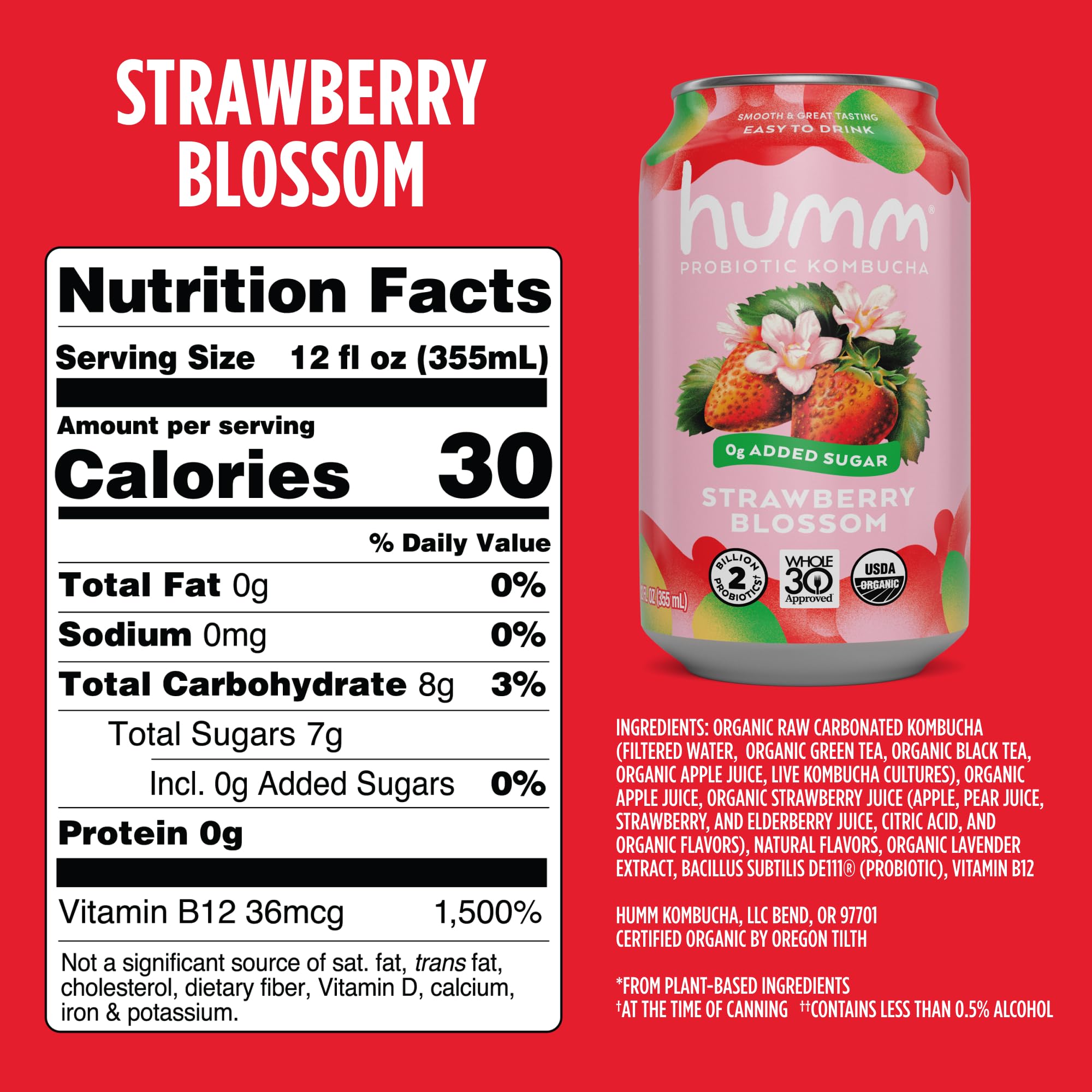 Original Kombucha