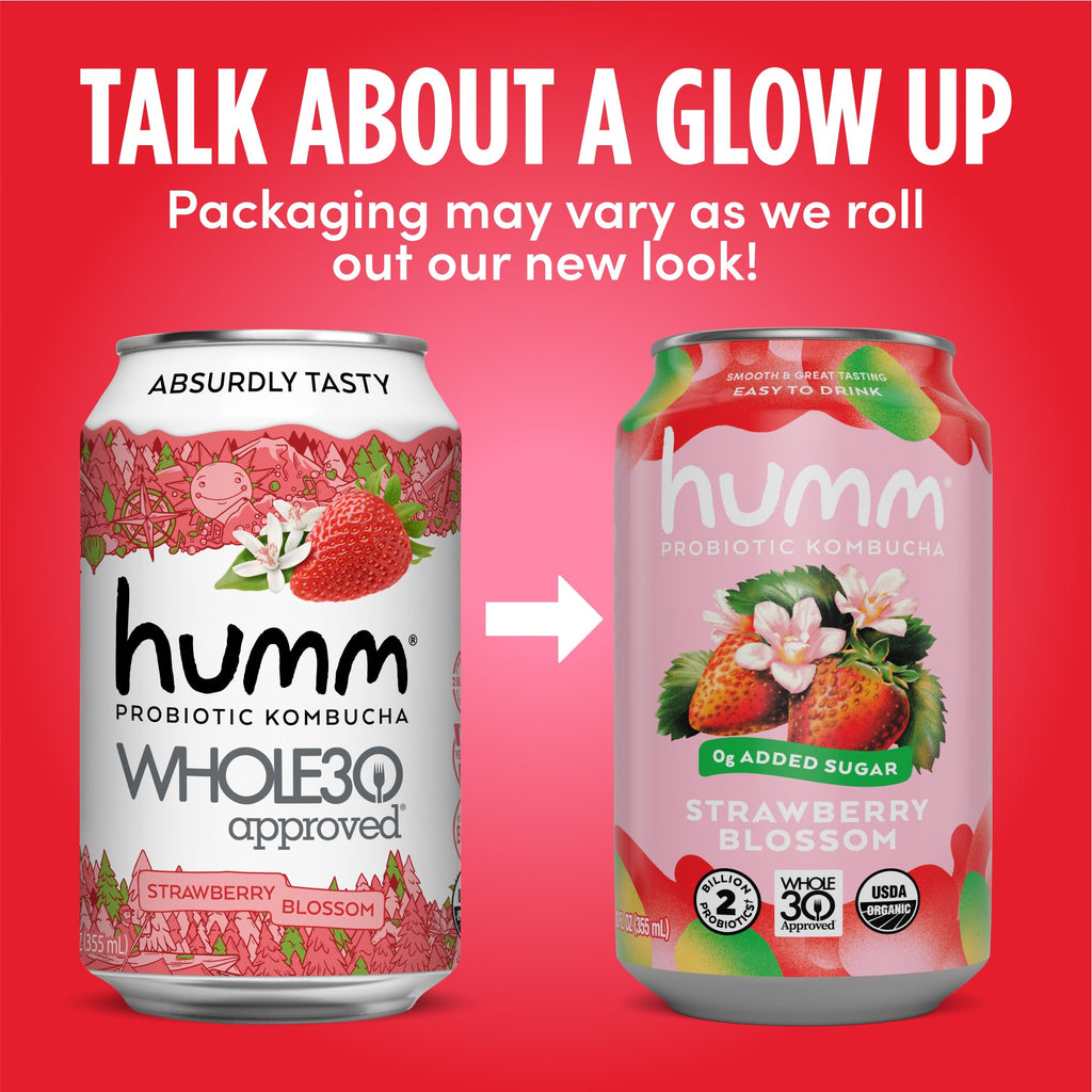 Original Kombucha
