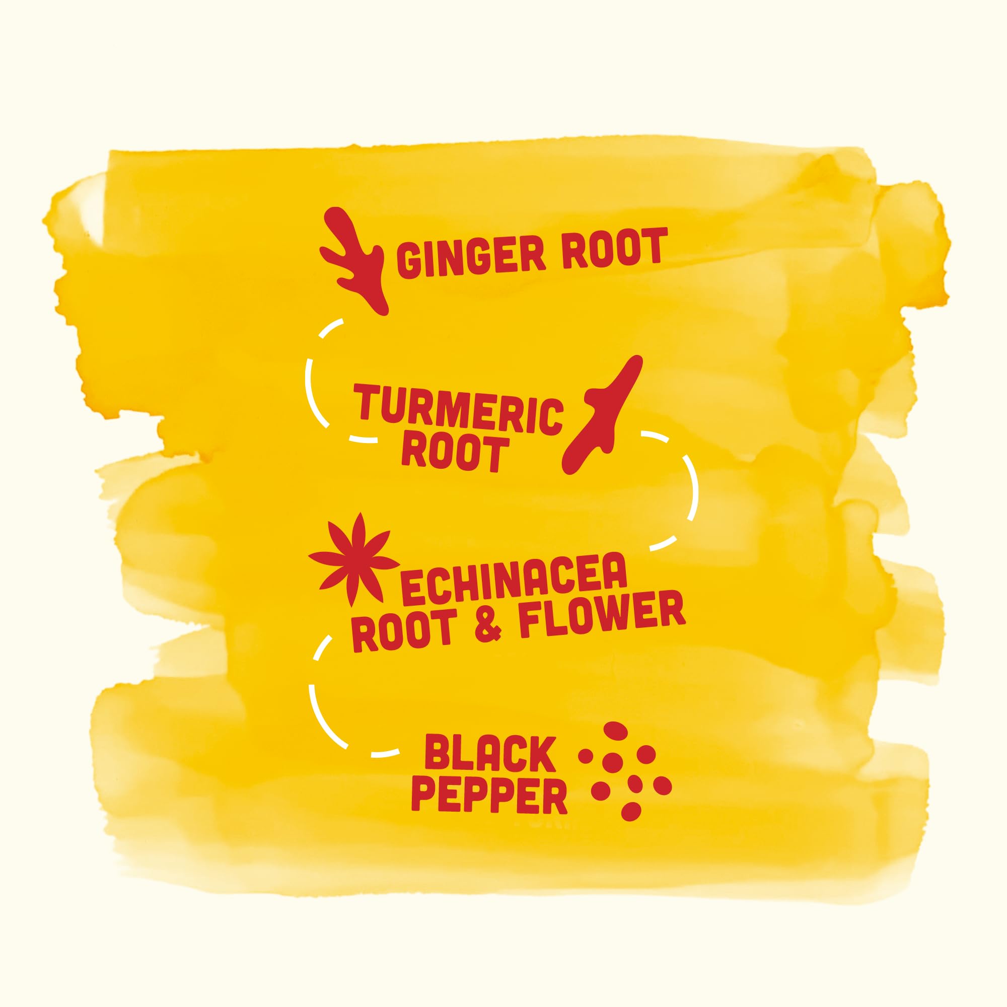Ginger & Turmeric Shot Variety Pack