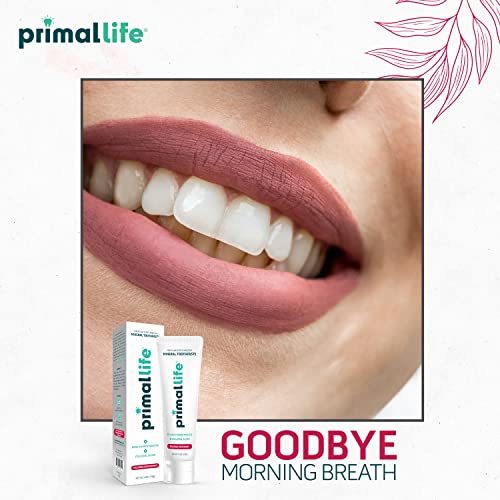 Dirty Mouth Mineral Toothpaste Nano-Hydroxyapatite Colloidal Silver