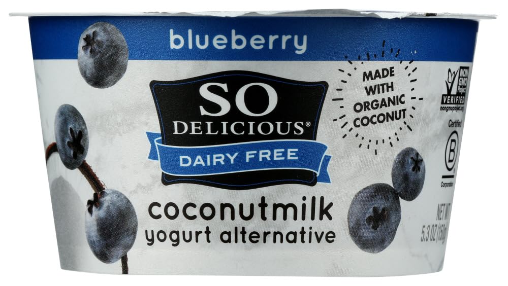 Coconut Milk Yogurt