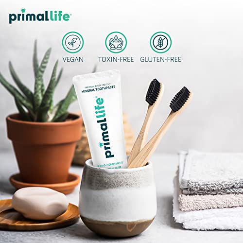 Dirty Mouth Mineral Toothpaste Nano-Hydroxyapatite Colloidal Silver