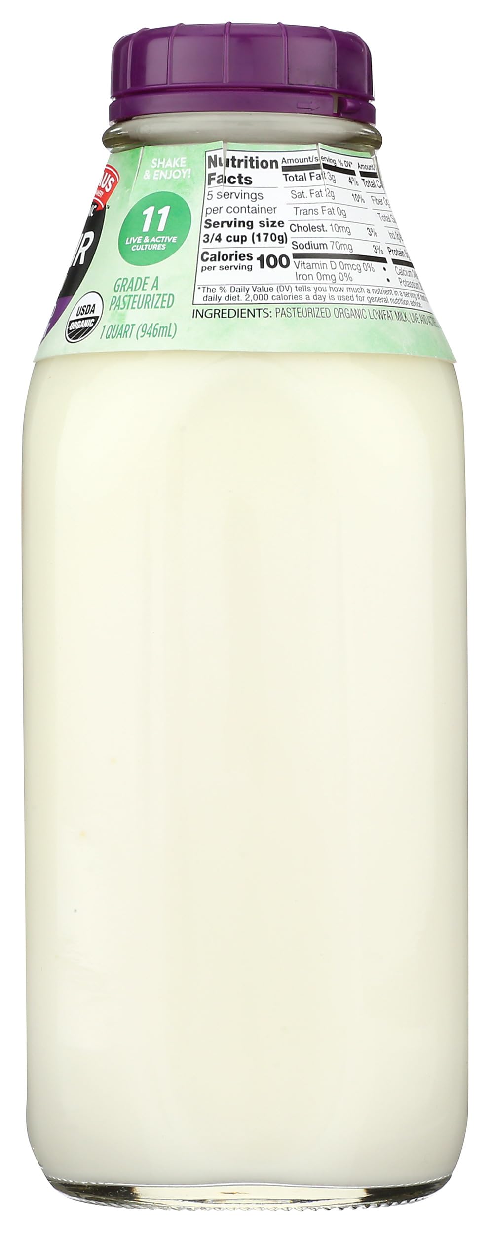 Kefir Plain