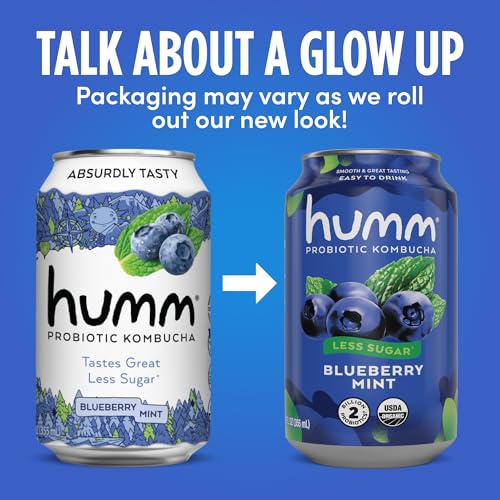 Original Kombucha