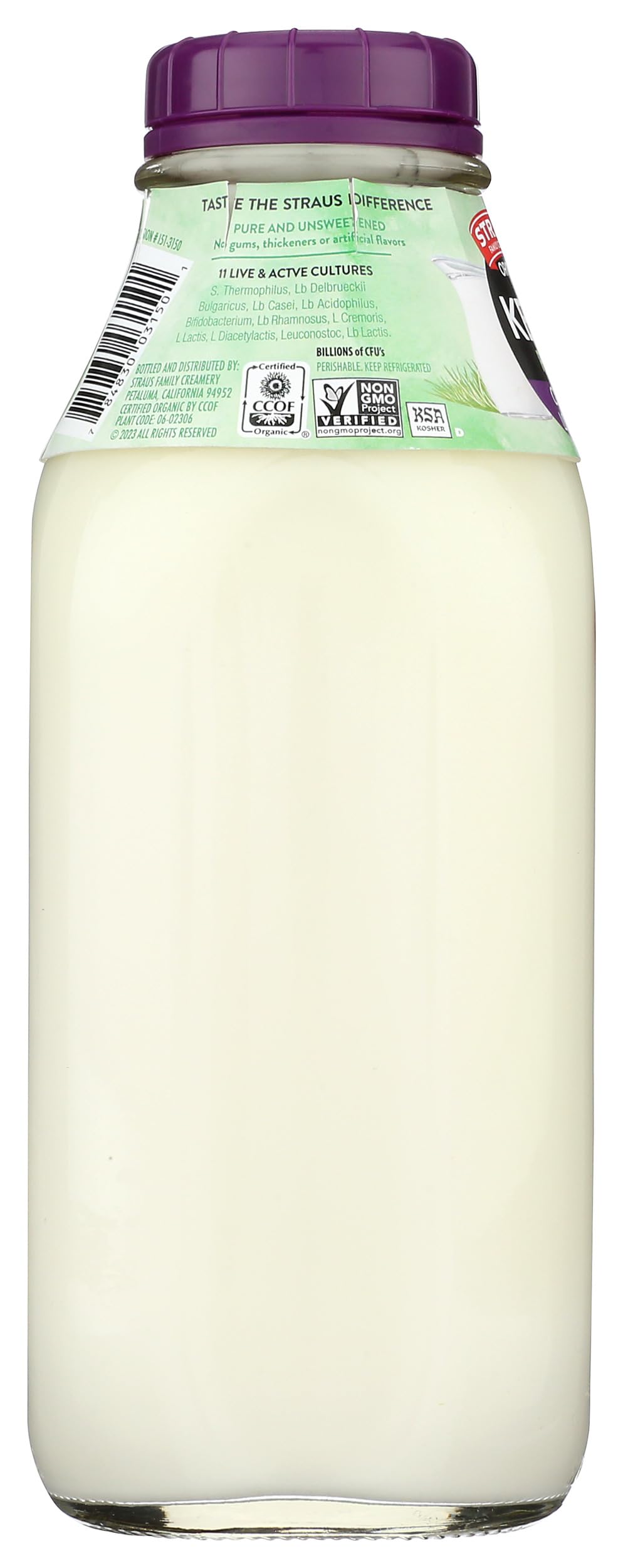 Kefir Plain