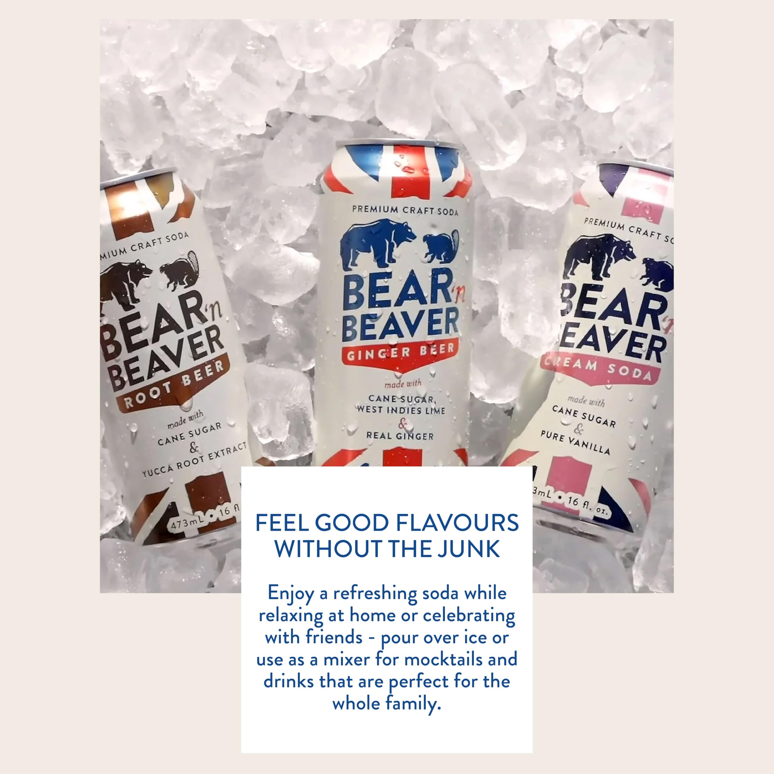 Assorted Flavors Cans Craft Soda